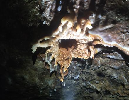Concrétion de calcite dans le Spéléodrome de Nancy