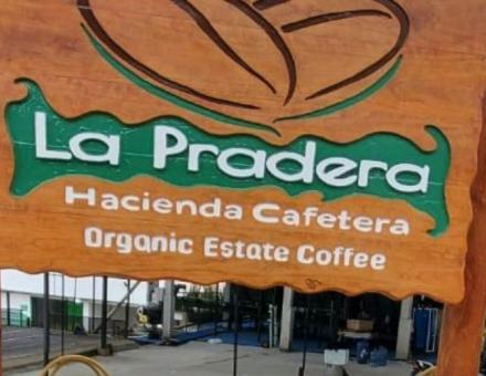 Exploitation de café Hacienda Cafetera La Pradera - Stage ingénieur d'Amelia Connell, UniLaSalle Rouen