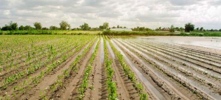 10 ans de la Chaire Management des risques en Agriculture